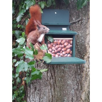 Eichhörnchen-Futterhaus